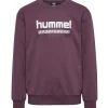 Online Hmltukas Sweatshirt, Huckleberry Gensere Jente 8-16 År | Gensere & Overdeler Gutt