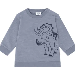 Best Hust and Claire Hcsofus sweatshirt til barn, Blue Flint Gensere & Overdeler Gutt