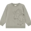 Outlet Hust and Claire Hcsofus sweatshirt til barn, Seagrass Gensere & Overdeler Gutt